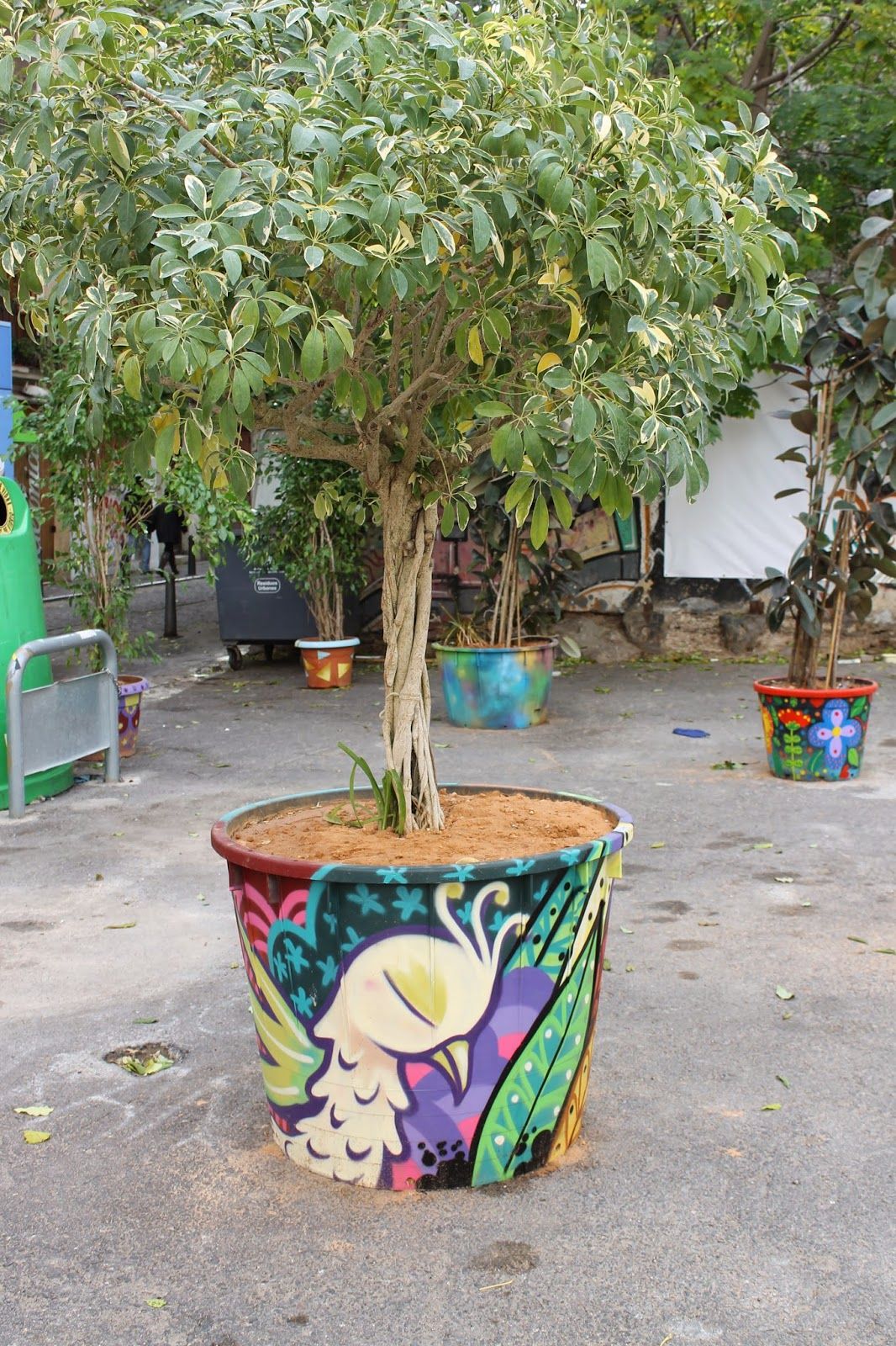 barrio del carmen